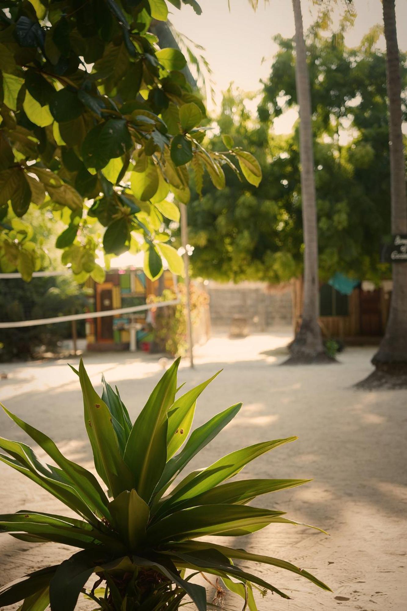 Your Zanzibar Place Paje Exterior photo